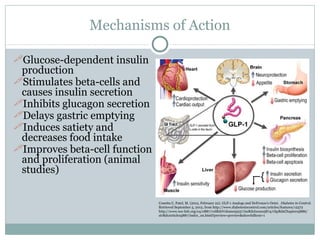 Comprehensive Insights on GLP-1 Analogs and Lifestyle Modifications for ...