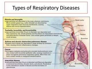 Types of Respiratory Diseases
 