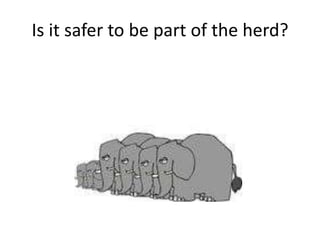 Is it safer to be part of the herd?
 