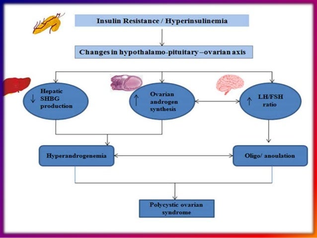 LIFESTYLE MANAGEMENT OF PCOS BY DR SHASHWAT JANI