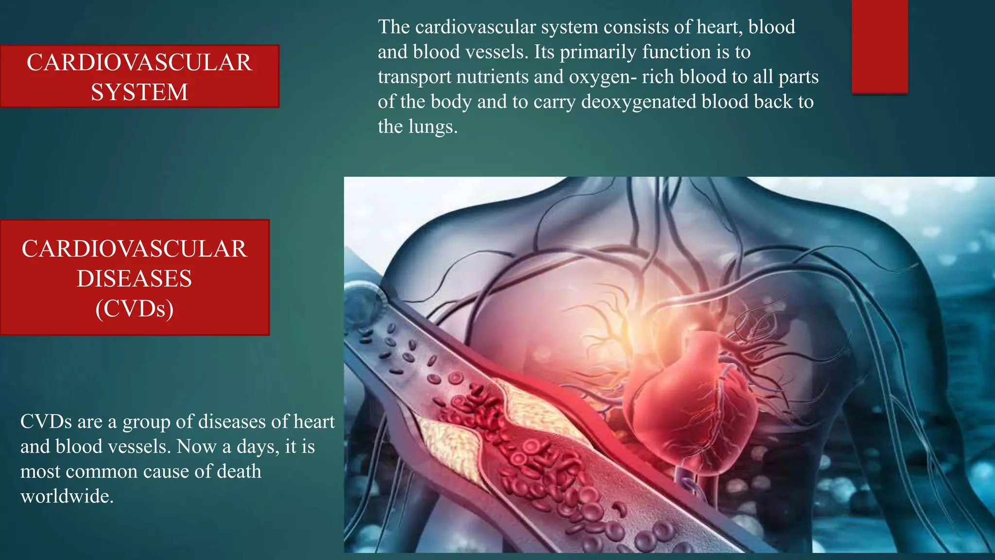 lifestyle modification for prevention of heart disease.pptx
