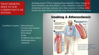 lifestyle modification for prevention of heart disease.pptx