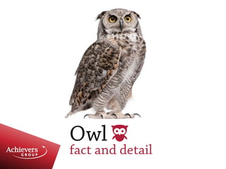 Lifestyle tradie sales presentation 