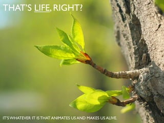 THAT’S LIFE,RIGHT?
IT’S WHATEVER IT IS THAT ANIMATES US AND MAKES US ALIVE.
 