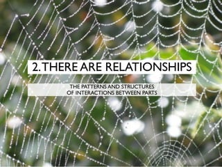 2.THERE ARE RELATIONSHIPS
THE PATTERNS AND STRUCTURES
OF INTERACTIONS BETWEEN PARTS
 