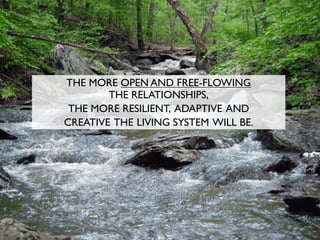 THE MORE OPEN AND FREE-FLOWING
THE RELATIONSHIPS,
THE MORE RESILIENT, ADAPTIVE AND
CREATIVE THE LIVING SYSTEM WILL BE.
 
