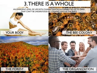 YOUR BODY THE BEE COLONY
THE FOREST
3.THERE IS A WHOLE
AN EMERGENT LEVEL OF LIFE WITH CHARACTERISTICS & CAPABILITIES OF ITS OWN
THAT CAN’T BE UNDERSTOOD BY LOOKING ONLY AT THE PARTS
THE ORGANIZATION
 