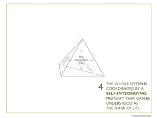 THE WHOLE SYSTEM IS
COORDINATED BY A
SELF-INTEGRATING,
PROPERTY THAT CAN BE
UNDERSTOOD AS
THE SPARK OF LIFE.
4
© Copyright Michelle Holliday
 