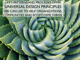 LIFE’S PATTERNS AND PROCESSES OFFER
UNIVERSAL DESIGN PRINCIPLES
WE CAN USE TO HELP ORGANIZATIONS,
COMMUNITIES AND ECOSYSTE...