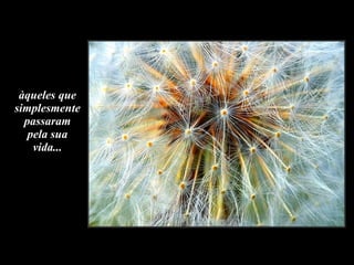 àqueles que simplesmente passaram pela sua vida... 