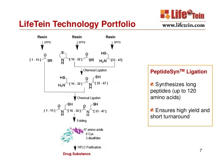 Custom peptide synthesis services