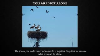 YOU ARE NOT ALONE

The journey is made easier when we do it together. Together we can do
what we can’t do alone.

 