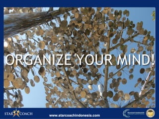 ORGANIZE YOUR MIND!
 
