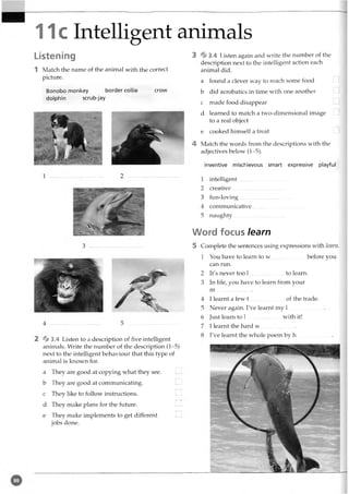11c Intelligent animals
Listening
1 Match the name of the animal with the correct
picture.
Bonobo monkey border collie crow
dolphin scrub-jay
3 ....
% 3.4 Listen to a description of five intelligent
animals. Write the number of the description (1-5)
next to the intelligent behaviour that this type of
animal is known for.
a They are good at copying what they see.
b They are good at communicating.
c They like to follow instructions.
d They make plans for the future.
e They make implements to get different
jobs done.
3 % 3.4 Listen again and write the number of the
description next to the intelligent action each
animal did.
a found a clever way to reach some food
b did acrobatics in time with one another
c made food disappear
d learned to match a two-dimensional image
to a real object
e cooked himself a treat
4 Match the words from the descriptions with the
adjectives below (1-5).
inventive mischievous smart expressive playful
1 intelligent.....................................
2 creative ................................... ..
3 fun-loving.....................................
1 communicative.....................................
5 naughty....................................
Word focus learn
5 Complete the sentences using expressions with learn.
1 You have to learn to w .......................................before y
can run.
2 It's never too 1 ........................to learn.
3 In life, you have to learn from your
m ..........................
4 I learnt a few t of the trade.
5 Never again. I've learnt my 1
6 Just learn to 1 with it!
7 I learnt the hard w..........................
8 I've learnt the whole poem by h.................
 