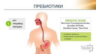 ПРЕБИОТИКИ 
рот 
пищевод 
желудок 
1 
 
