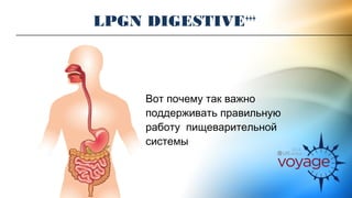 LPGN DIGESTIVE+++ 
Вот почему так важно 
поддерживать правильную 
работу пищеварительной 
системы 
