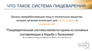 ЧТО ТАКОЕ СИСТЕМА ПИЩЕВАРЕНИЯ 
Органы перерабатывающие пищу в питательные вещества, 
которые организм использует для роста, энергии и 
поддержания. 
"Пищеварительная система является одним из основных 
составляющих в борьбе с болезнями” 
Division of Gastroenterology of the Department of Medicine, New York University 
 