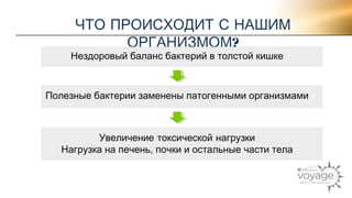 ЧТО ПРОИСХОДИТ С НАШИМ 
ОРГАНИЗМОМ? 
Нездоровый баланс бактерий в толстой кишке 
Полезные бактерии заменены патогенными организмами 
Увеличение токсической нагрузки 
Нагрузка на печень, почки и остальные части тела 
 