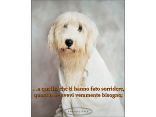 … a quelle, che ti hanno fato sorridere,  quando ne avevi veramente bisogno ; 