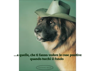 … a quelle, che ti fanno vedere le cose positive quando tocchi il fondo  