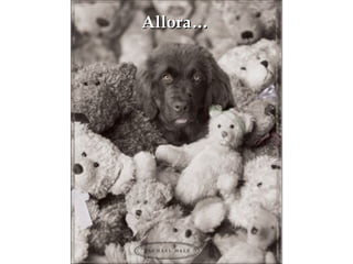 Allora… 