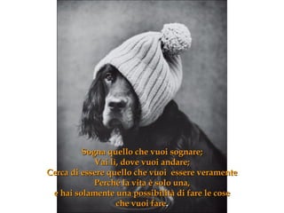 Sogna quello che vuoi sognare ; Vai lì, dove vuoi andare ; Cerca di essere quello che vuoi  essere veramente Perché la vita è solo una, e hai solamente una possibilità di fare le cose che vuoi fare . 