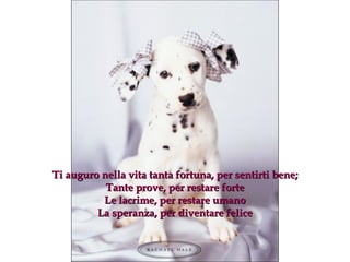Ti auguro nella vita tanta fortuna, per sentirti bene ; Tante prove, per restare forte Le lacrime, per restare umano La speranza, per diventare felice 