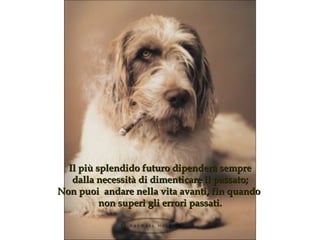 Il più splendido futuro dipenderà sempre dalla necessità di dimenticare il passato ; Non puoi  andare nella vita avanti, fin quando  non superi gli errori passati . 