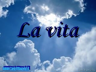 La vita www.carloneworld.it 