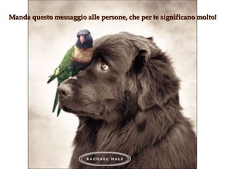 Manda questo messaggio alle persone, che per te significano molto! 