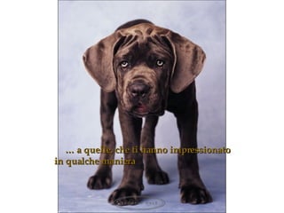 …   a quelle, che ti hanno impressionato in qualche maniera 