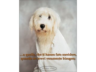 … a quelle, che ti hanno fato sorridere,  quando ne avevi veramente bisogno ; 