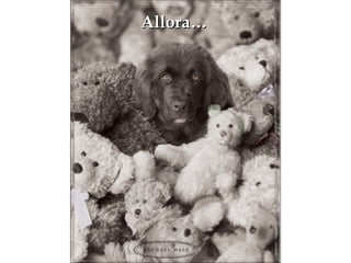 Allora… 