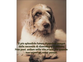 Il più splendido futuro dipenderà sempre dalla necessità di dimenticare il passato ; Non puoi  andare nella vita avanti, fin quando  non superi gli errori passati . 