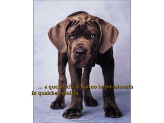 …   a quelle, che ti hanno impressionato in qualche maniera 