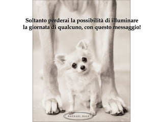 Soltanto perderai la possibilità di illuminare la giornata di qualcuno, con questo messaggio ! 