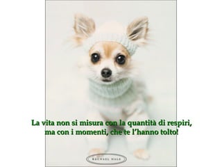 La vita non si misura con la quantità di respiri, ma con i momenti, che te l’hanno tolto ! 