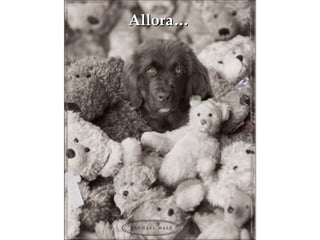 Allora… 