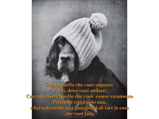 Sogna quello che vuoi sognare ; Vai lì, dove vuoi andare ; Cerca di essere quello che vuoi  essere veramente Perché la vita è solo una, e hai solamente una possibilità di fare le cose che vuoi fare . 