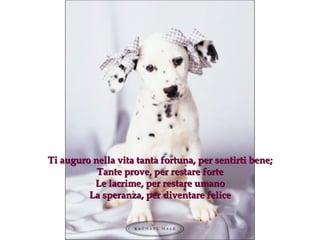 Ti auguro nella vita tanta fortuna, per sentirti bene ; Tante prove, per restare forte Le lacrime, per restare umano La speranza, per diventare felice 