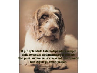 Il più splendido futuro dipenderà sempre dalla necessità di dimenticare il passato ; Non puoi  andare nella vita avanti, fin quando  non superi gli errori passati . 