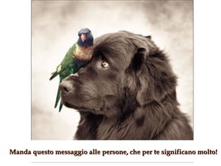 Manda questo messaggio alle persone, che per te significano molto! 