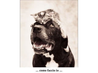…  come faccio io  … 