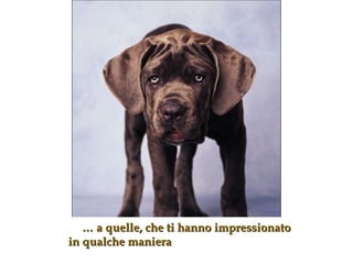 …   a quelle, che ti hanno impressionato in qualche maniera 