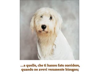 … a quelle, che ti hanno fato sorridere,  quando ne avevi veramente bisogno ; 