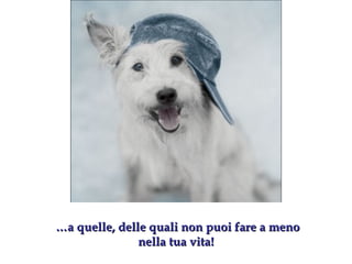 … a quelle, delle quali non puoi fare a meno nella tua vita! 