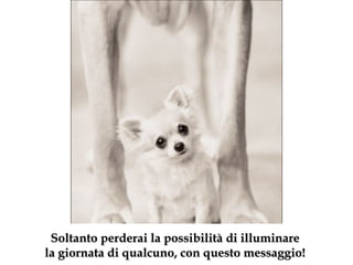 Soltanto perderai la possibilità di illuminare la giornata di qualcuno, con questo messaggio ! 