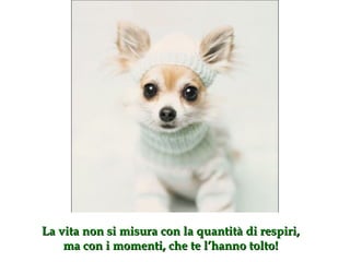 La vita non si misura con la quantità di respiri, ma con i momenti, che te l’hanno tolto ! 