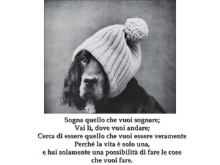 Sogna quello che vuoi sognare ; Vai lì, dove vuoi andare ; Cerca di essere quello che vuoi essere veramente Perché la vita è solo una, e hai solamente una possibilità di fare le cose che vuoi fare. 