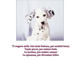 Ti auguro nella vita tanta fortuna, per sentirti bene ; Tante prove, per restare forte Le lacrime, per restare umano La speranza, per diventare felice 
